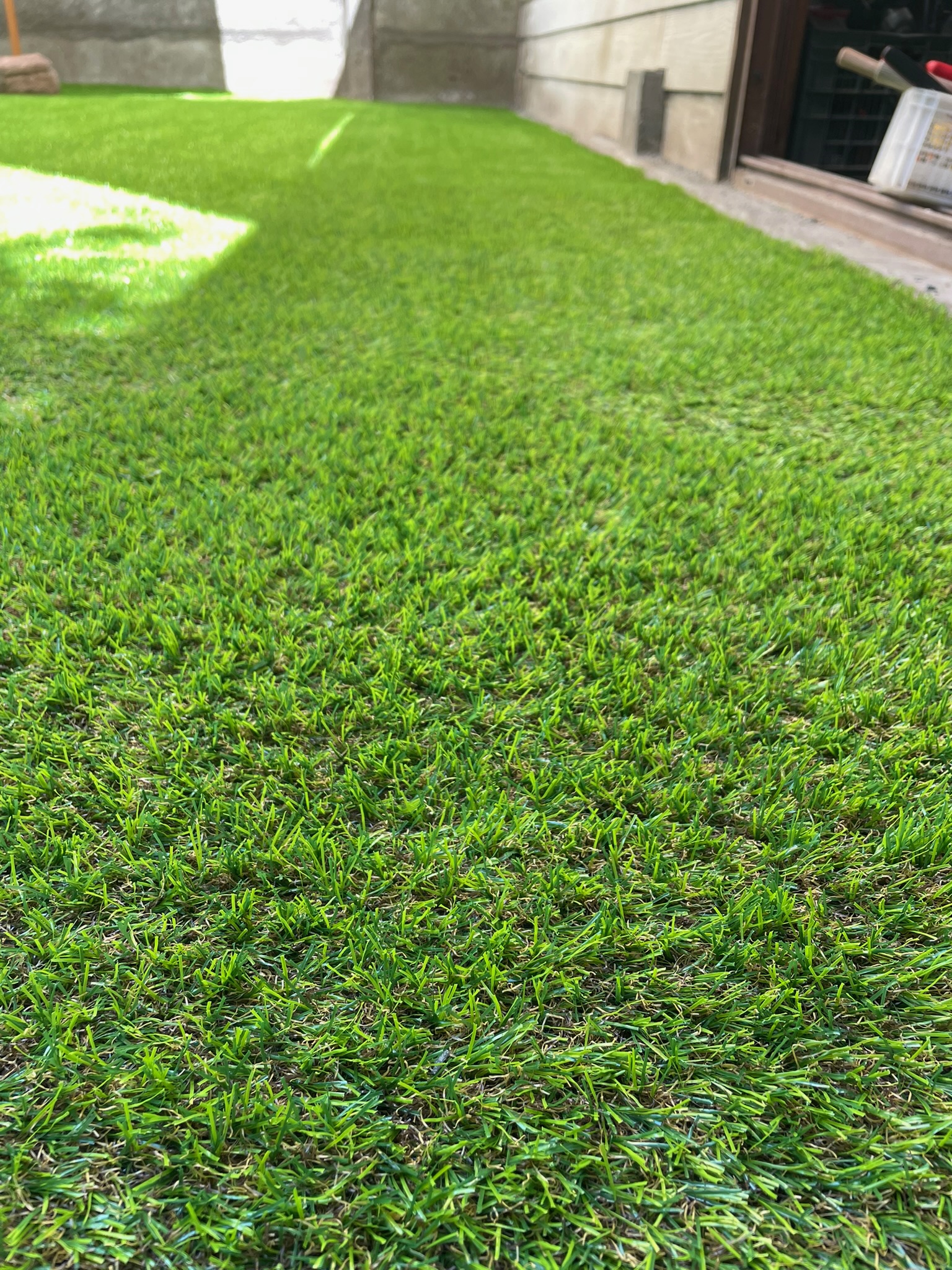 Pasto 20mm