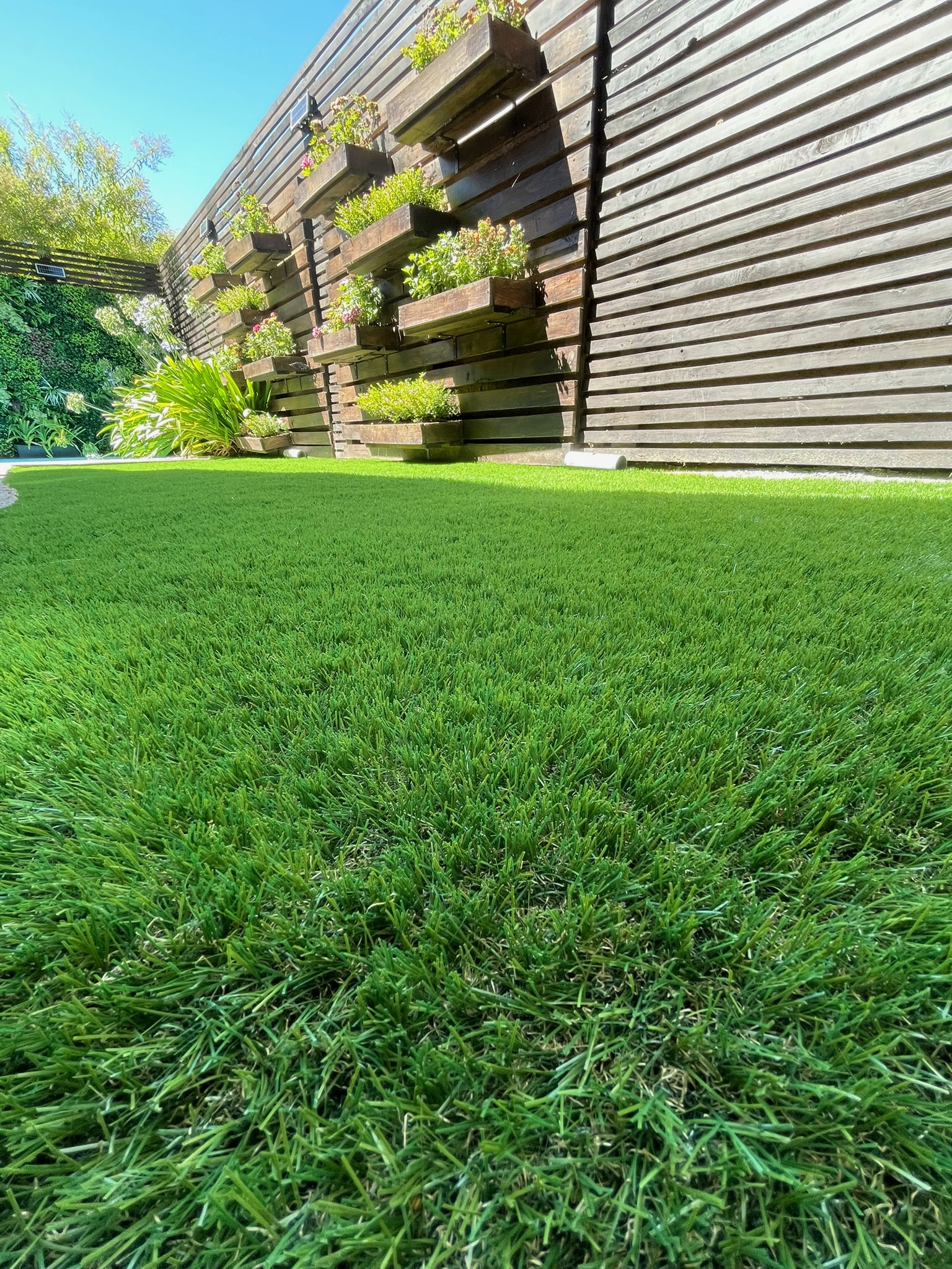 Pasto 40mm
